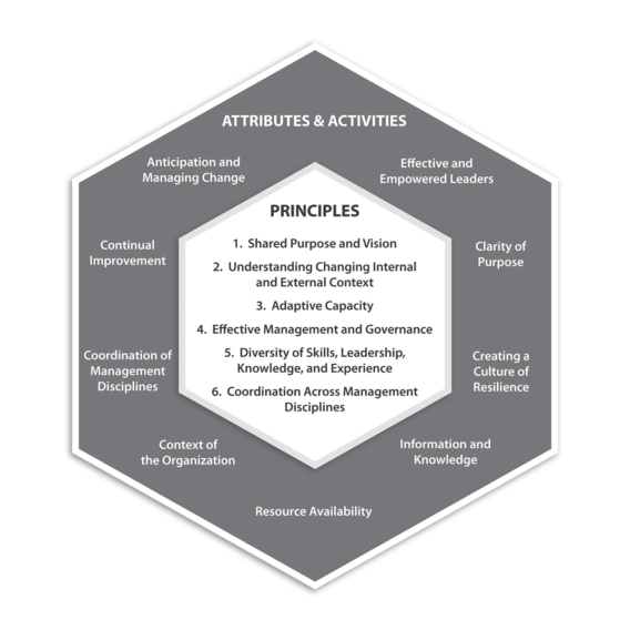 ISO/DIS 22316(en), Security and resilience — Guidelines for